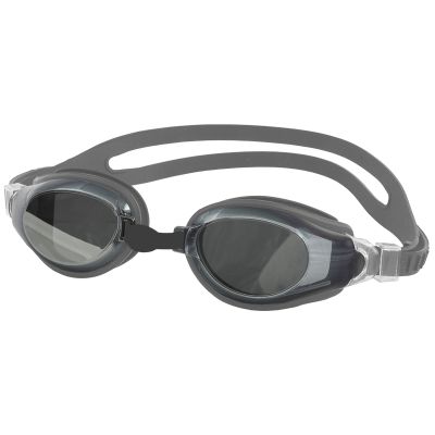 2. Aqua-Speed Champion Silver Swimming Goggles 26/038