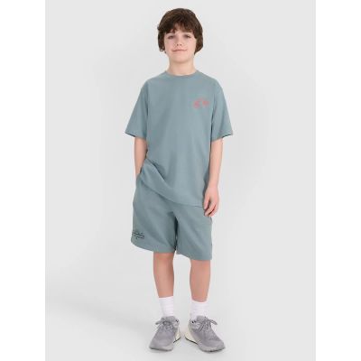3. Boy's oversize T-shirt with print 4F 4FJWSS25TTSHM1914-46S