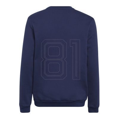 2. Sweatshirt adidas Entrada 22 Hoody Jr H57568