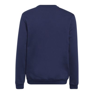 2. Adidas Entrada 22 Hoody Jr Sweatshirt H57568