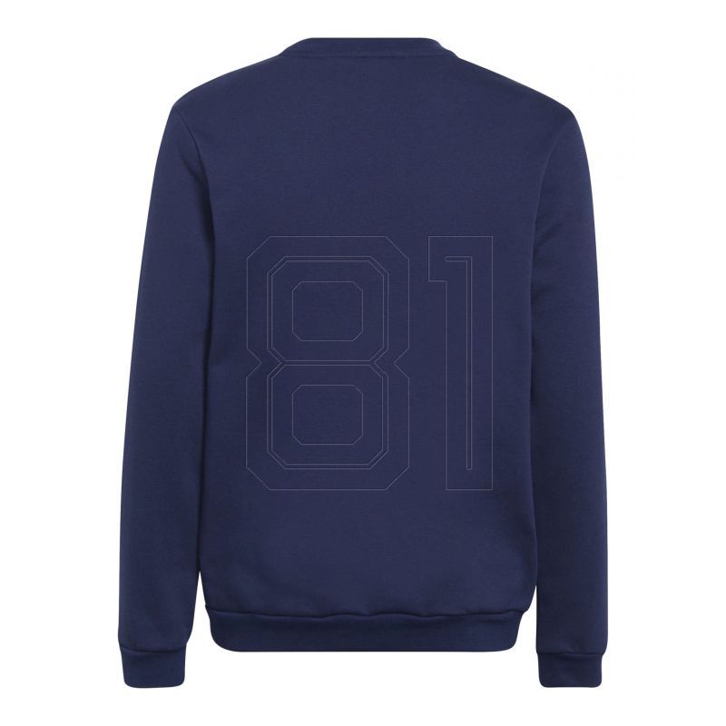 2. Sweatshirt adidas Entrada 22 Hoody Jr H57568
