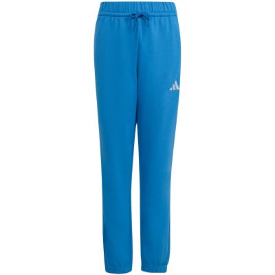2. adidas Essentials kids' pants blue KS0379