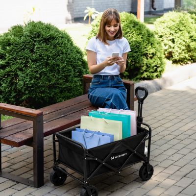 15. Wozinsky WZP-80 beach, tourist, garden, durable, wide wheels, up to 80 kg - black
