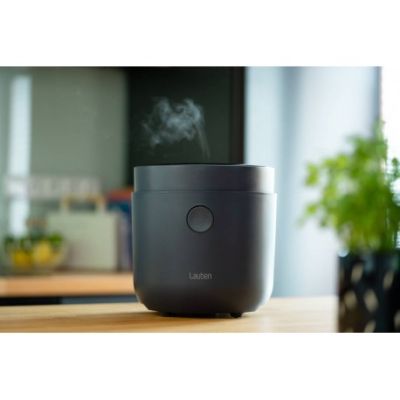 3. Lauben Low Sugar Rice Cooker 1500AT