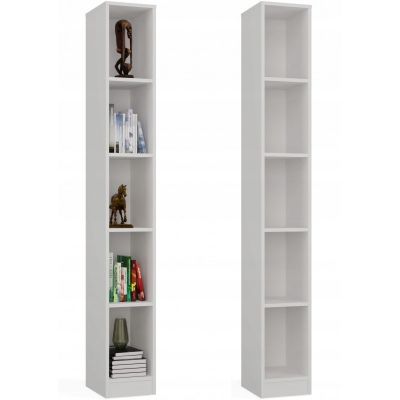 5. R25 WHITE SHELVING
