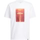 2. Men's adidas Waterfall Graphic T-shirt white KH0398