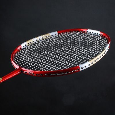 2. Techman Graphite 5006 T5006 Racket