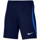 3. Nike Dri-FIT Strike 23 M Shorts DR2314 451