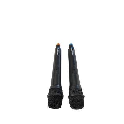 7. PartyBox Blaupunkt PB06DB (Bluetooth and karaoke)