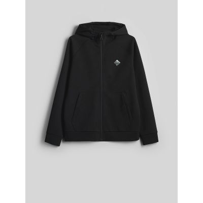 7. Men's regular hooded sweatshirt 4F 4FRAW26TSWSM3161-20S