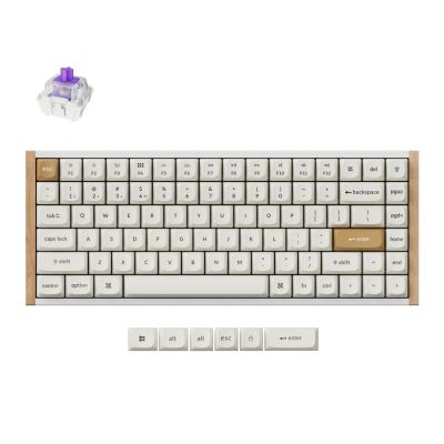 Keychron K2 HE Gaming Keyboard USB + RF Wireless + Bluetooth White