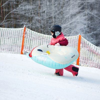 37. Meteor Owl Snow Slide 16765