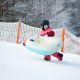 37. Meteor Owl Snow Slide 16765