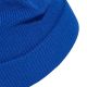 4. adidas Essentials Label Blue Beanie KG9577