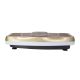 2. SVP03 GOLD Vibration Platform HMS