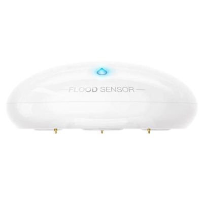 2. Nice Flood-Control flood and temperature sensor (FGFS-101 ZW5 EU)