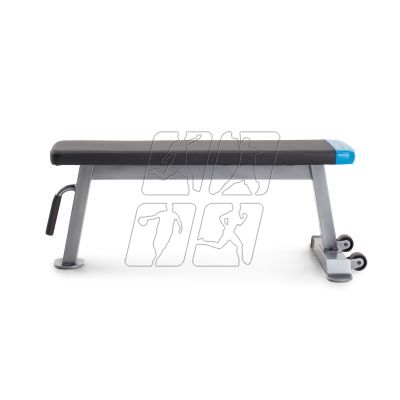 16. Proform Carbon Strength PFBE09620 horizontal bench