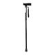 2. Folding walking stick (black)