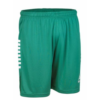 2. SPAIN v25 green football shorts