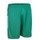 2. SPAIN v25 green football shorts