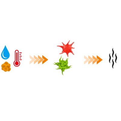 11. Air freshener and dehumidifier for sports equipment | DBX Dryer 2.0