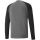 2. Puma teamPacer GK LS M goalkeeper sweatshirt 704933 43
