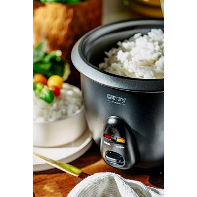 3. CAMRY CR 6419 rice cooker