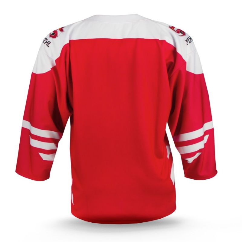 4. Replica of the Polish Junior National Team jersey