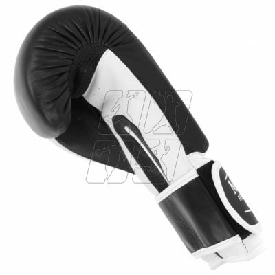 3. Boxing gloves MASTERS RPU-TR 011112-12
