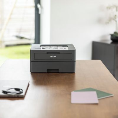 8. BROTHER HL-L2402D LASER PRINTER