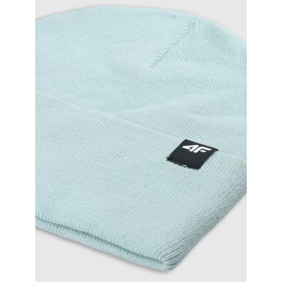 2. Unisex winter hat 4F 4FWAW24ACAPU512-42S