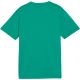 4. Puma TeamGoal Jersey for kids green 658637 05