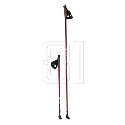 4. Nordic Walking Nils Extreme NW802 poles