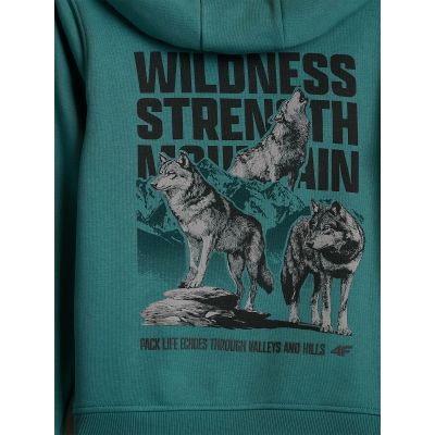 7. Boy's regular hooded sweatshirt 4F 4FJKAW26TSWSM3153-46S