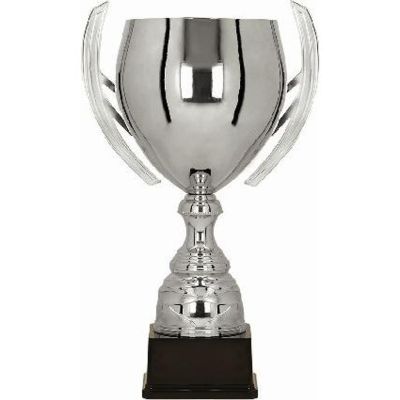 4. BATIKAS silver metal cup
