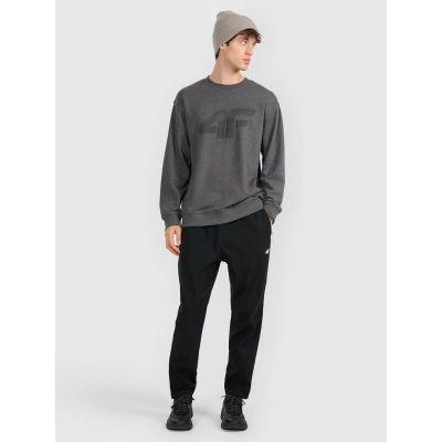 2. Men's sweatshirt without zipper, without hood, 4F 4FRMM00TSWSM2479-23M