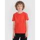Boy's regular printed T-shirt 4F 4FJRAW25TTSHM3261-62S