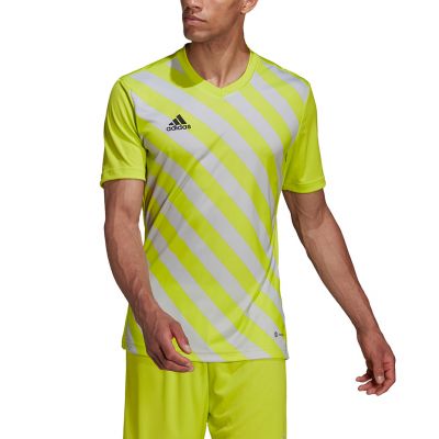 10. adidas Entrada 22 Graphic Jersey M HF0118