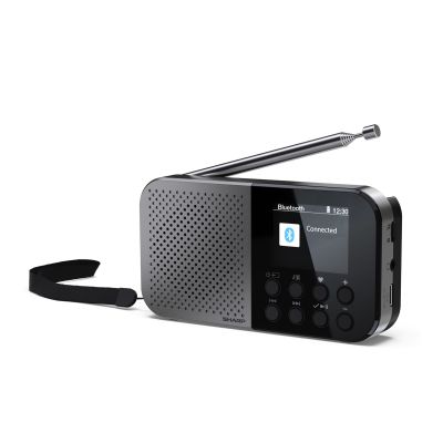 Sharp DR-P520 Personal Digital Gray