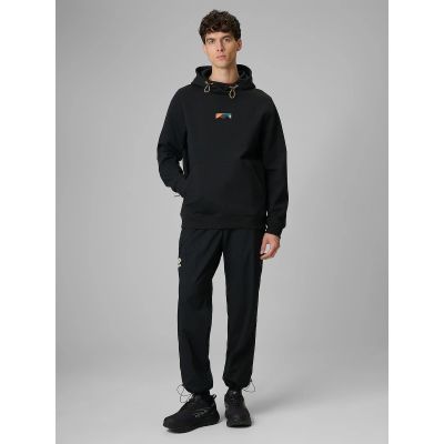 3. Men's regular hooded sweatshirt 4F 4FRSS26TSWSM2894-20S