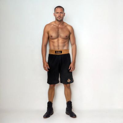 7. GOLD training boxing shorts