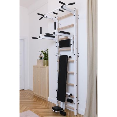 6. GYMNASTIC LADDER WITH A HAND BAR AND A BENCH FOR EXERCISES BENCHK 723W