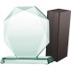 5. Glass trophy with case