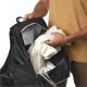 4. Salomon Trailblazer 10 Backpack C21829
