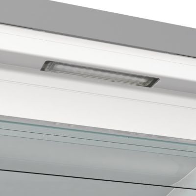 2. GORENJE FN619EAXL6 freezer