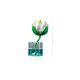 8. LEGO Botanical Collection 11511 - Water Lilies