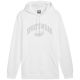2. Puma Ess+ Logo LAB Gradient Hoodie FL M 681775 02