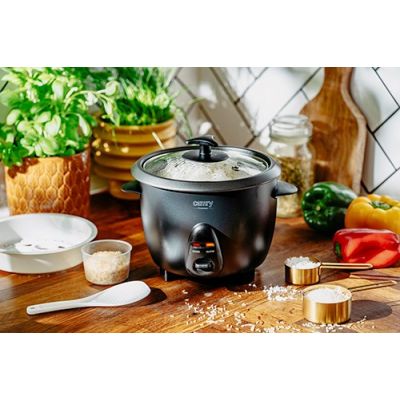 4. CAMRY CR 6419 rice cooker