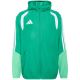 2. Men's adidas Tiro 26 Competition All Weather Jacket green KB0136