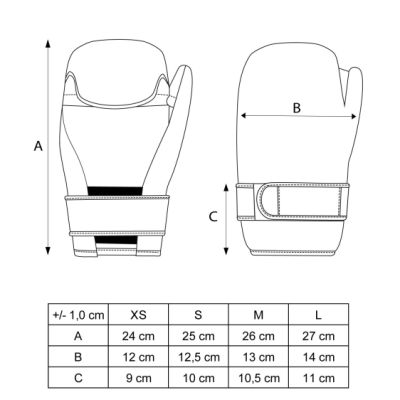 7. Rental of a 5.5 mx 5.5 m floor ring with a 4.9 mx 4.9 m fighting area with transport service